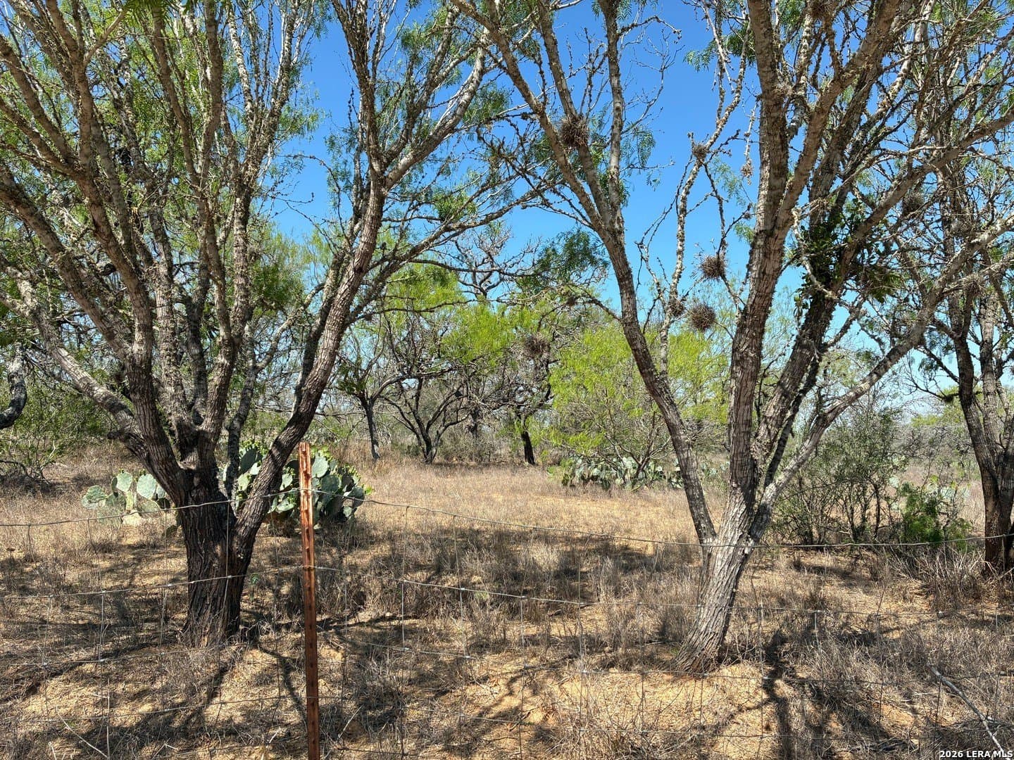 2.13 acres in Atascosa County - photo 8