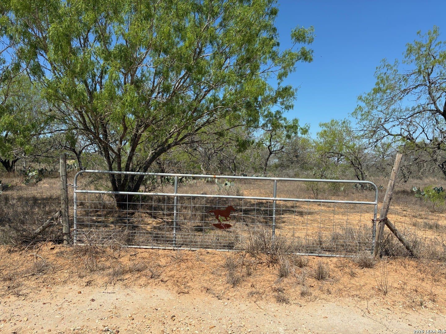 2.13 acres in Atascosa County - photo 6