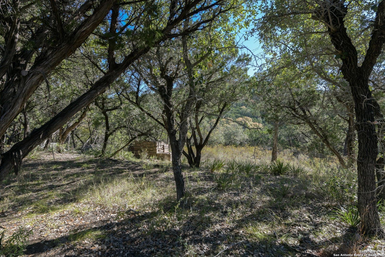 2.36 acres in Medina County gallery image 4