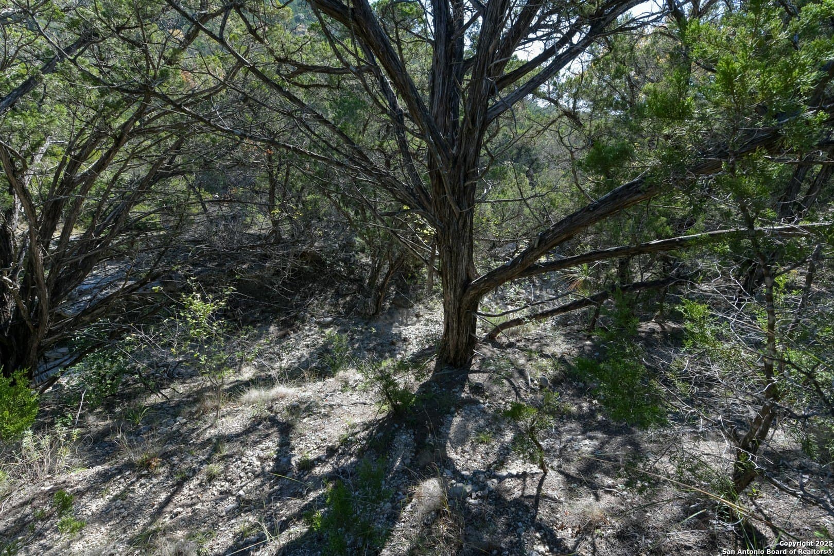 2.36 acres in Medina County - photo 6