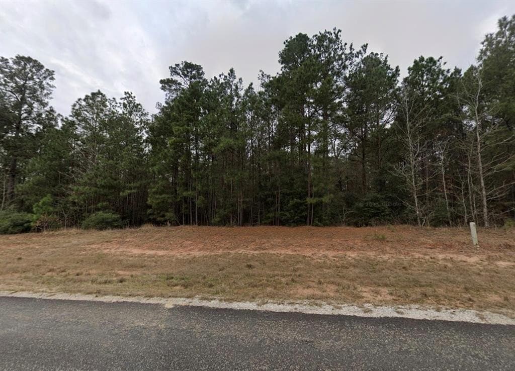 1.1 acres in Walker County gallery image 2