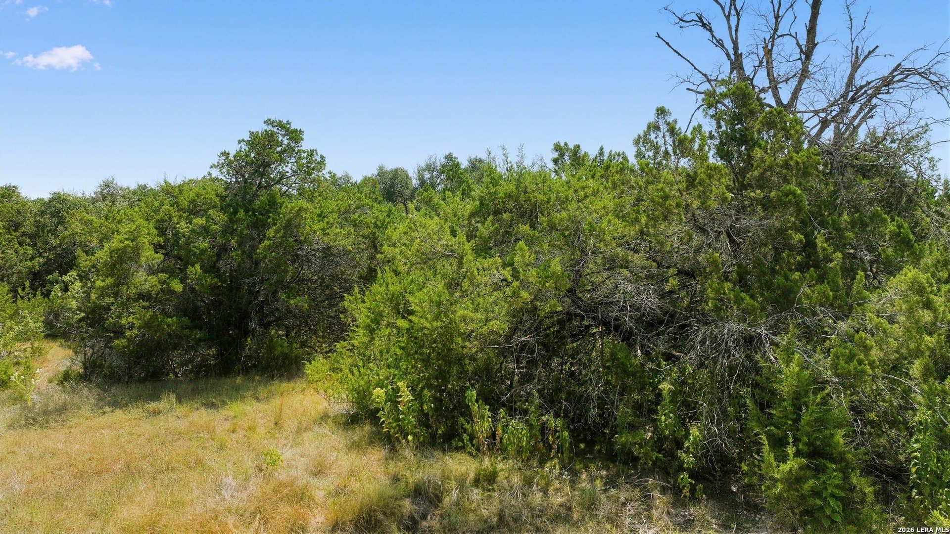 0.37 acres in Comal County - photo 3