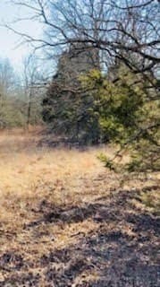 30 acres in Kaufman County - photo 12