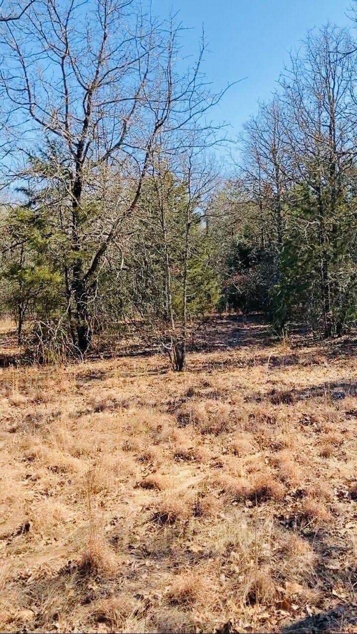 30 acres in Kaufman County - photo 6