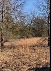 30 acres in Kaufman County - photo 13