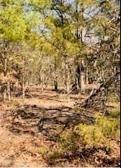 30 acres in Kaufman County - photo 3