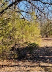 30 acres in Kaufman County - photo 11