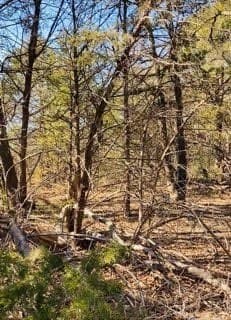 30 acres in Kaufman County - photo 2