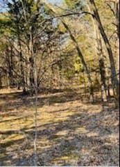 30 acres in Kaufman County - photo 10