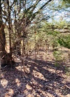 30 acres in Kaufman County - photo 8