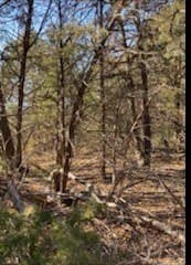 30 acres in Kaufman County - photo 9