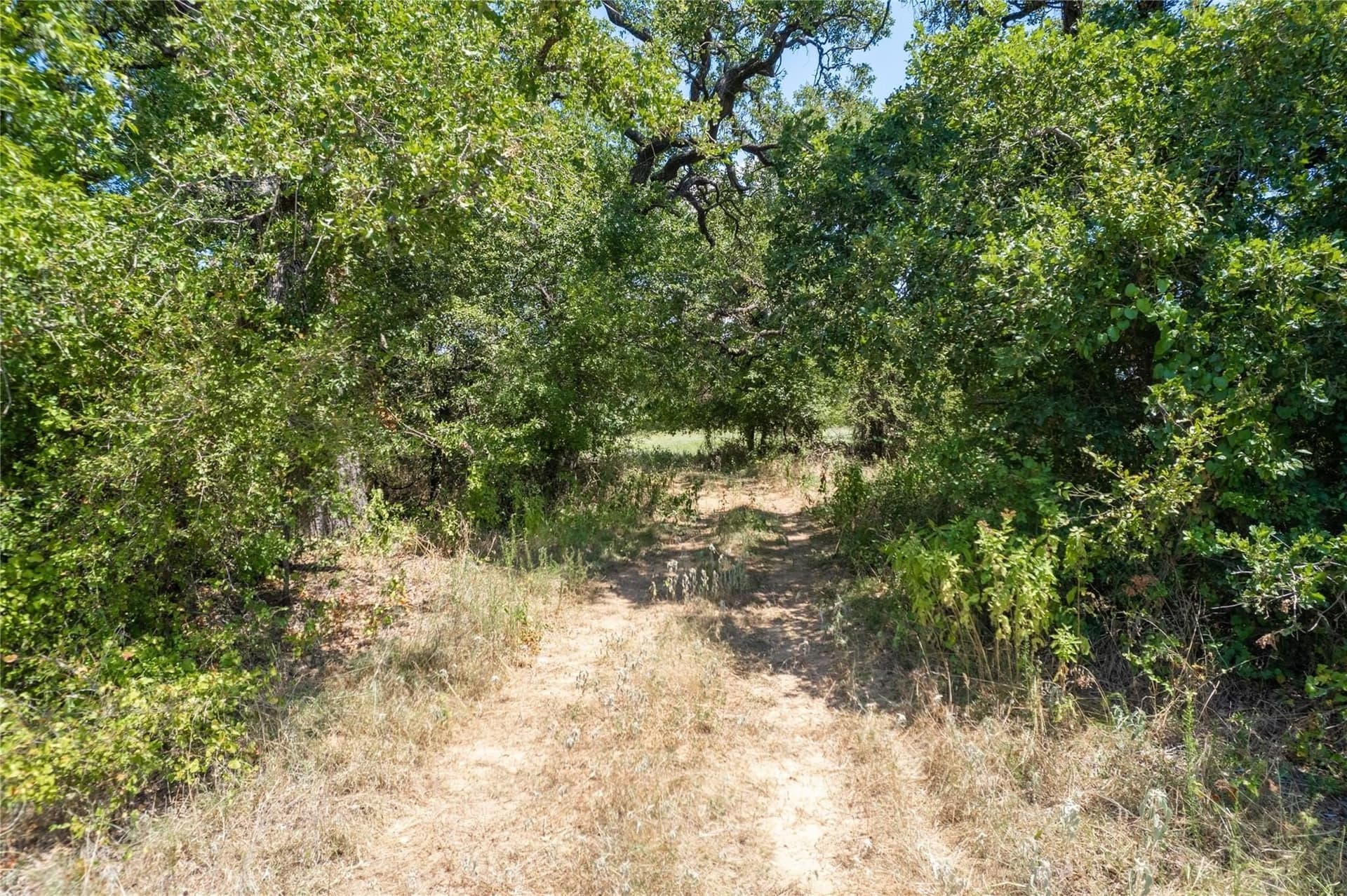 34.69 acres in Comanche County gallery image 3