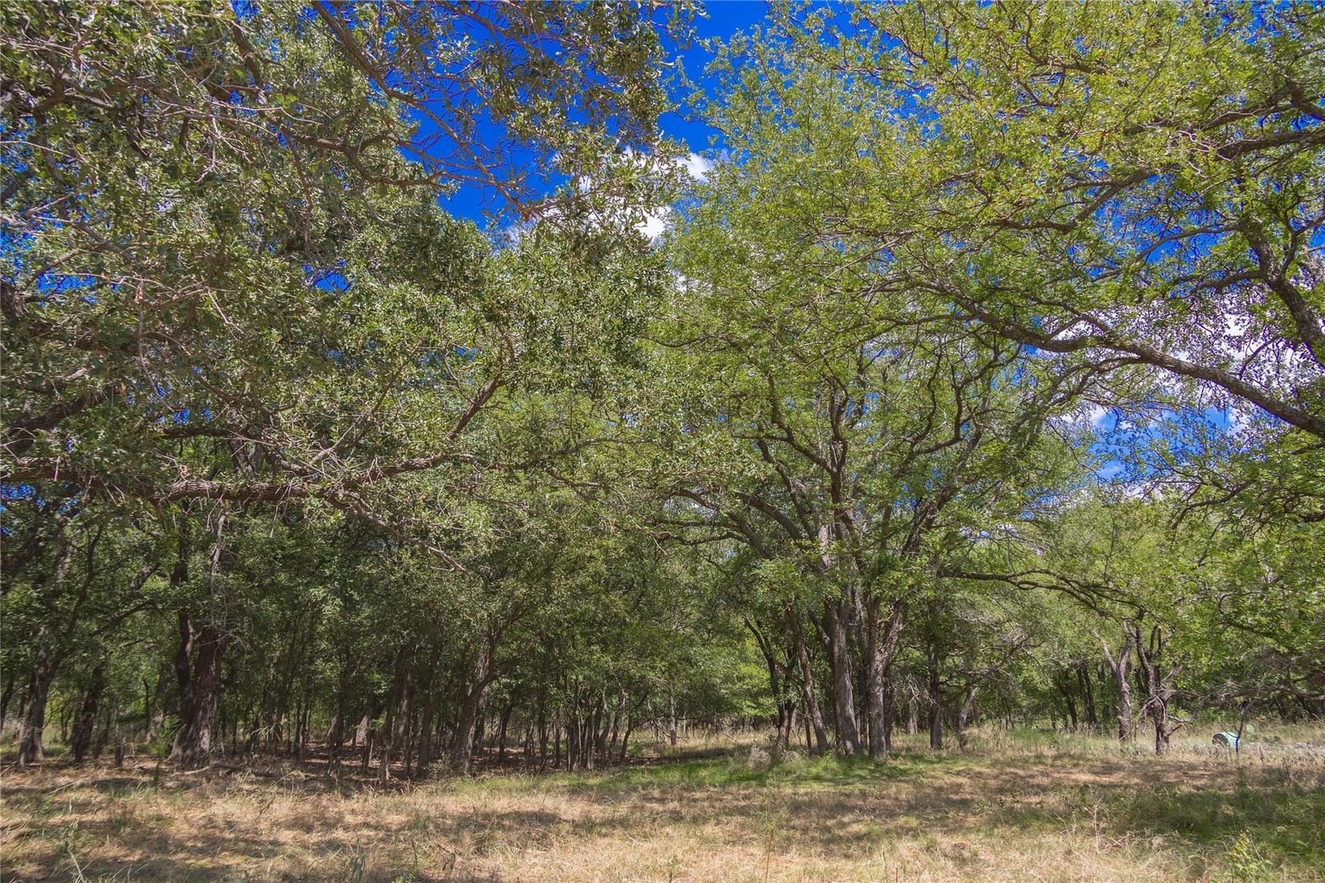34.69 acres in Comanche County gallery image 4