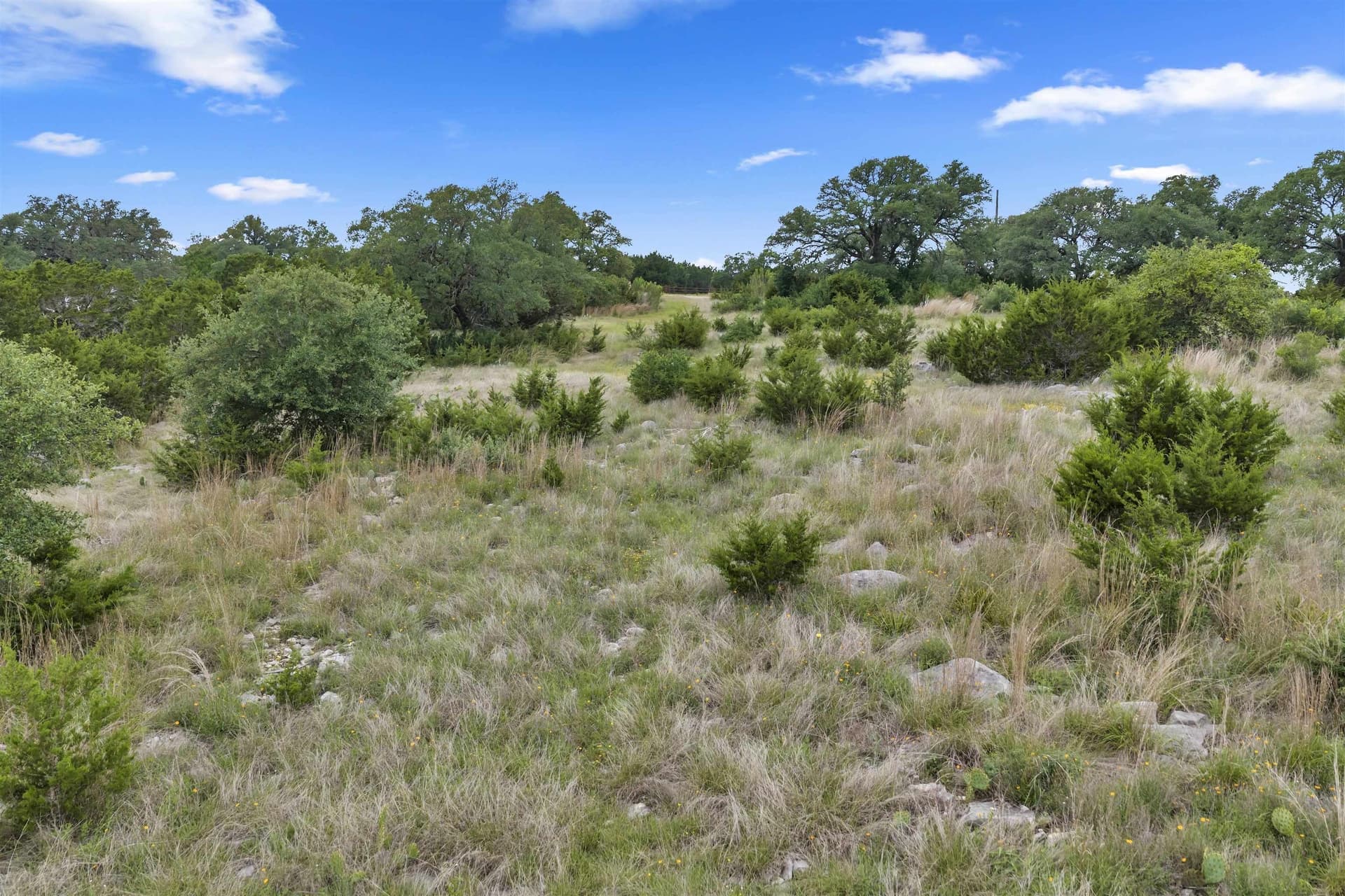 11 acres in Burnet County gallery image 2