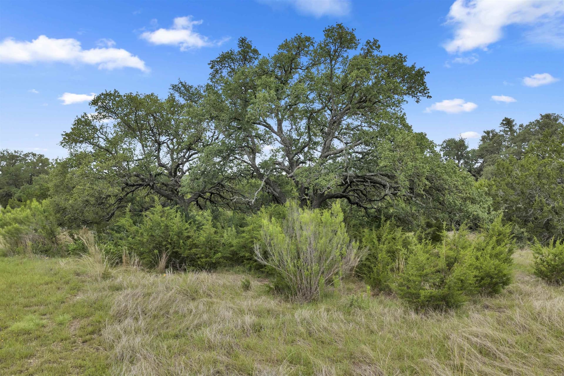 11 acres in Burnet County - photo 24