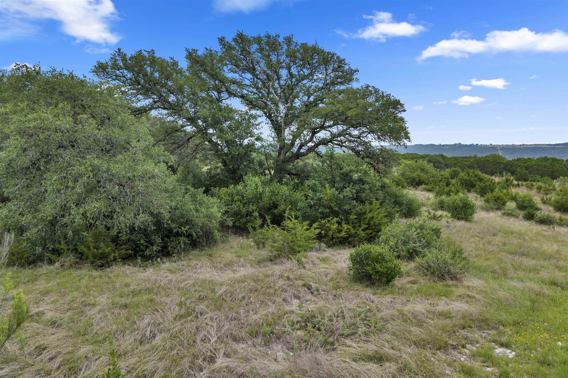 11 acres in Burnet County - photo 25