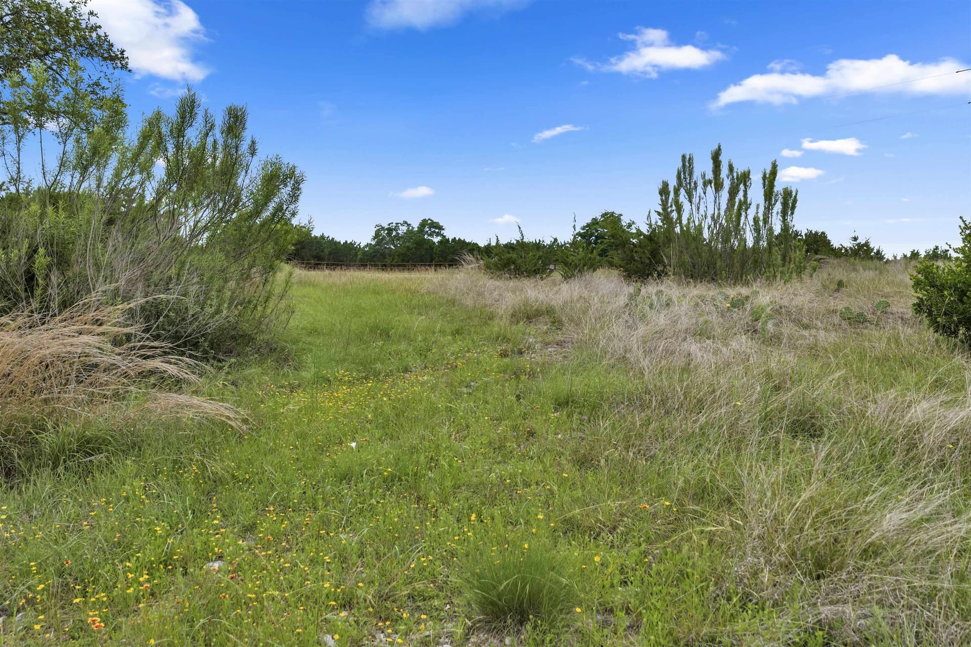 11 acres in Burnet County featured view
