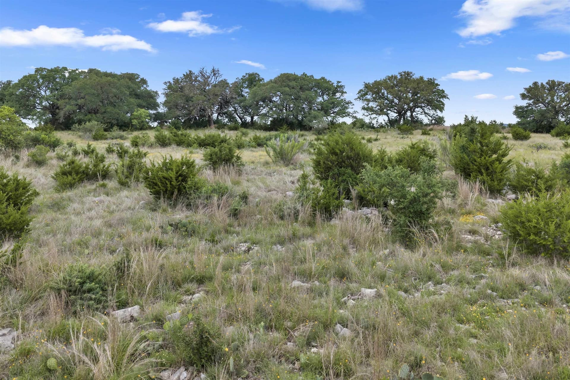 11 acres in Burnet County gallery image 4