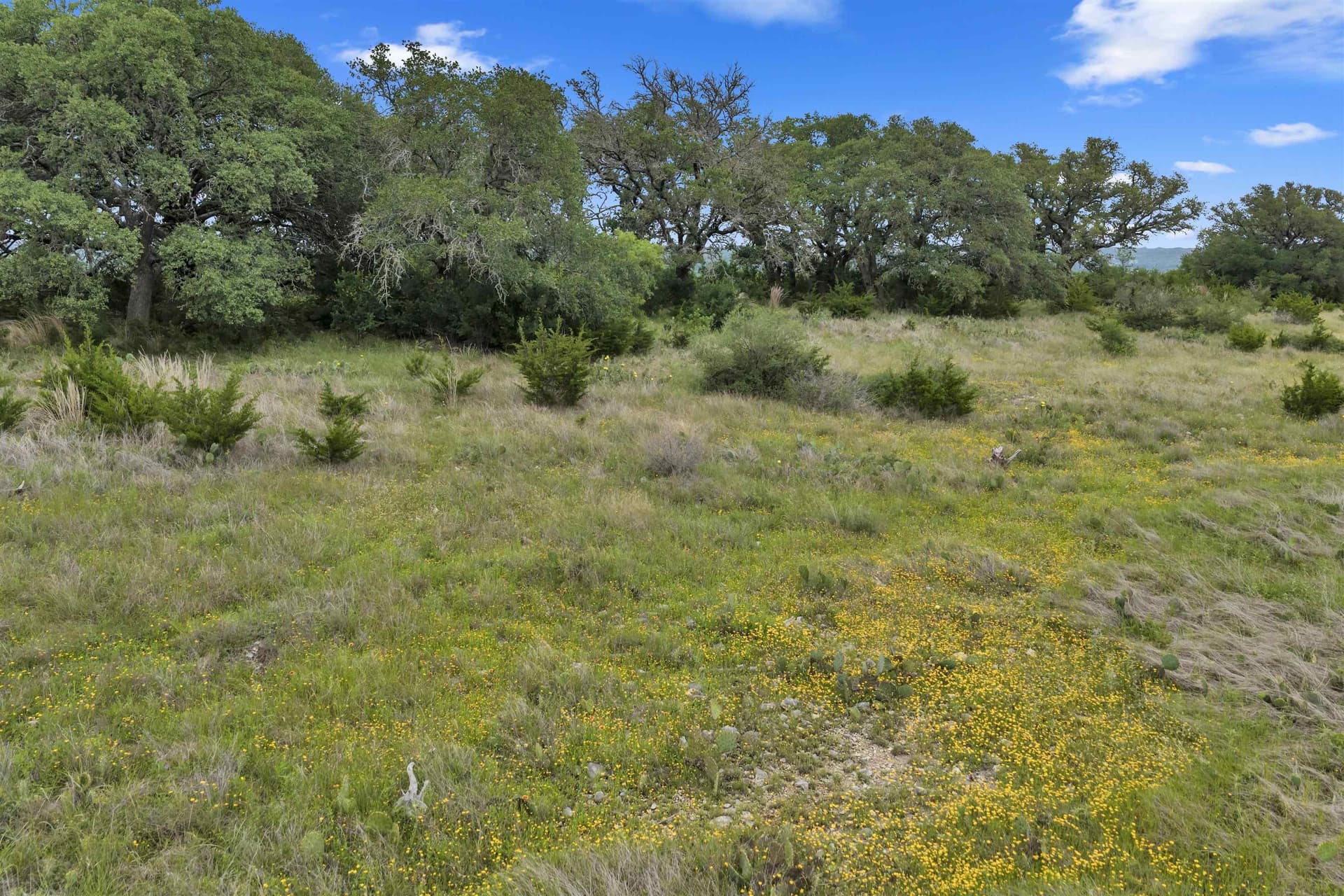 11 acres in Burnet County - photo 6