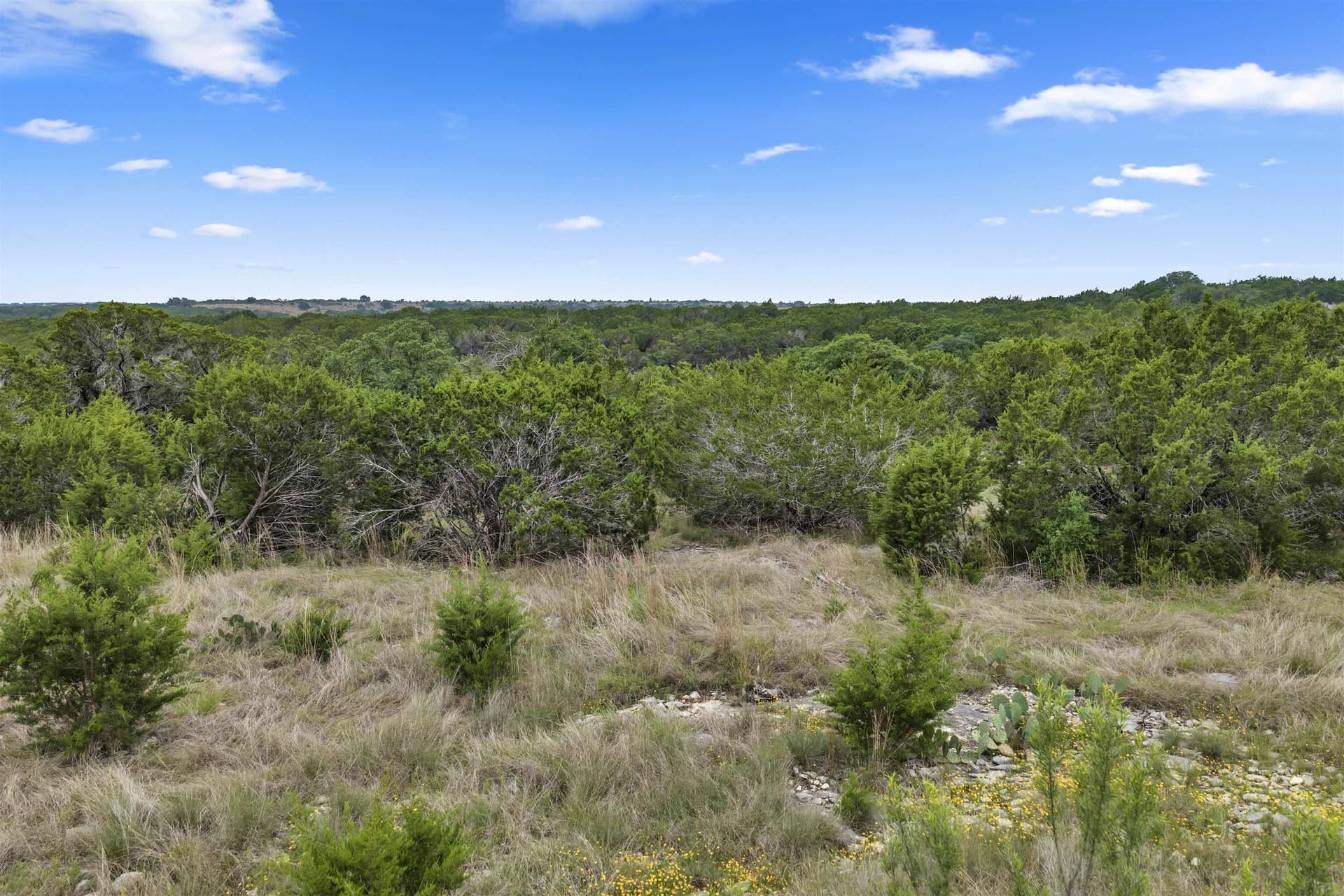 11 acres in Burnet County
