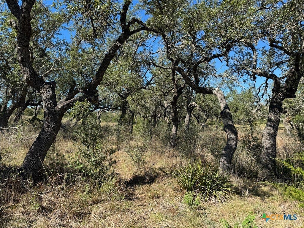 4.01 acres in Gillespie County featured view