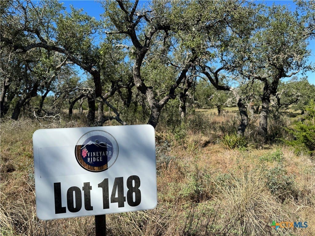4.01 acres in Gillespie County gallery image 3