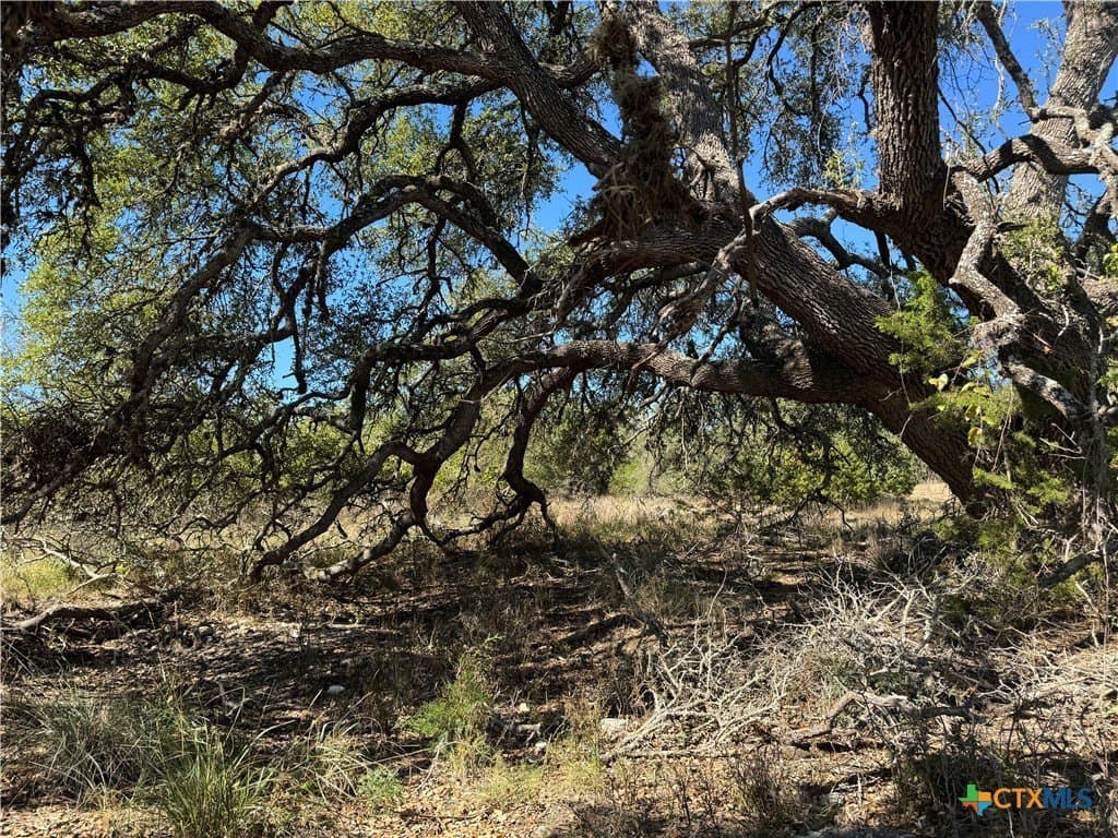 4.01 acres in Gillespie County