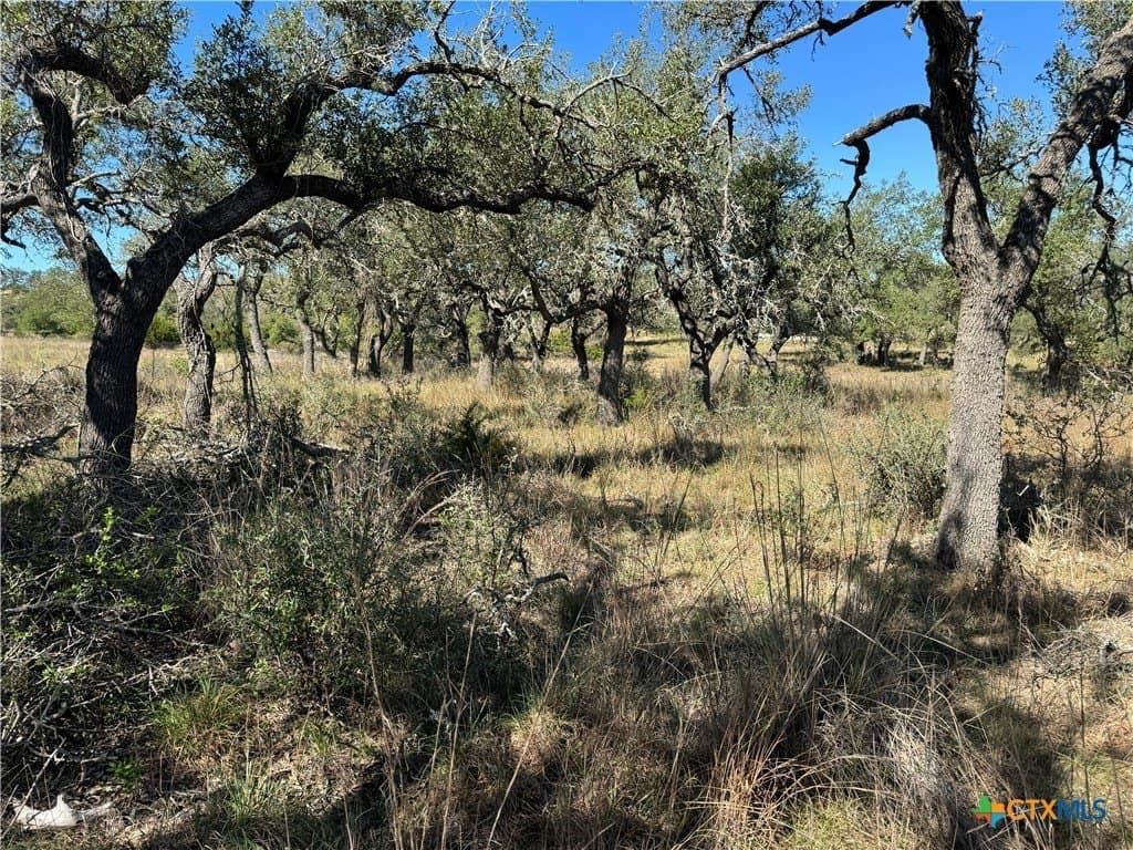 4.01 acres in Gillespie County gallery image 2