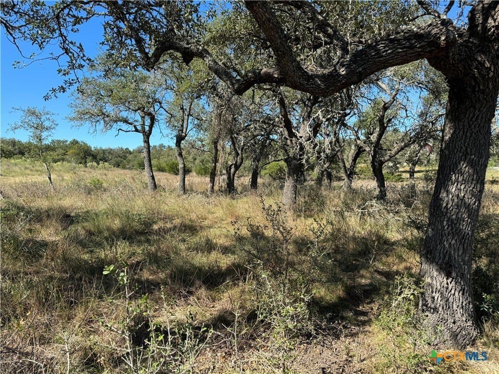 4.01 acres in Gillespie County gallery image 4