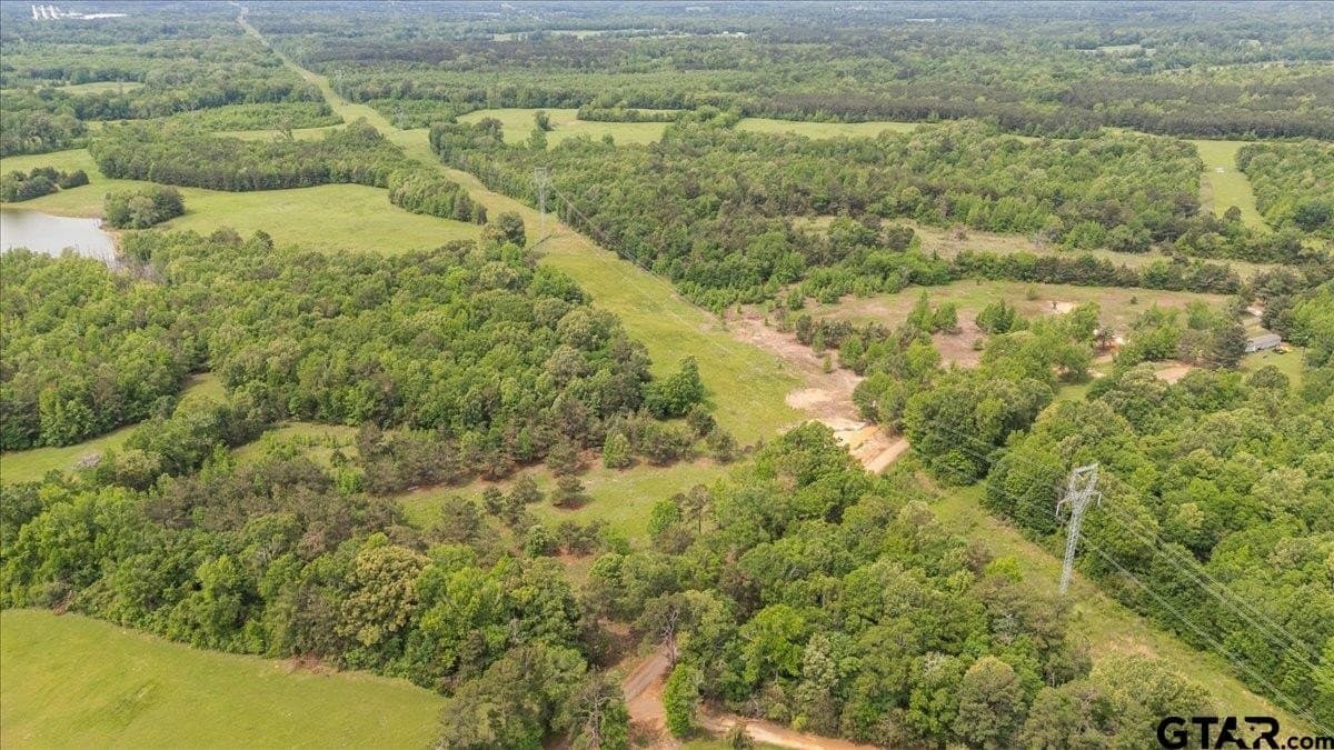 3.59 acres in Panola County featured view