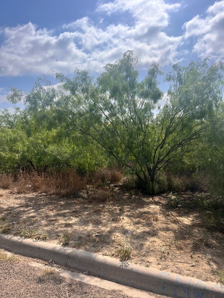 0.26 acres in Maverick County gallery image 2