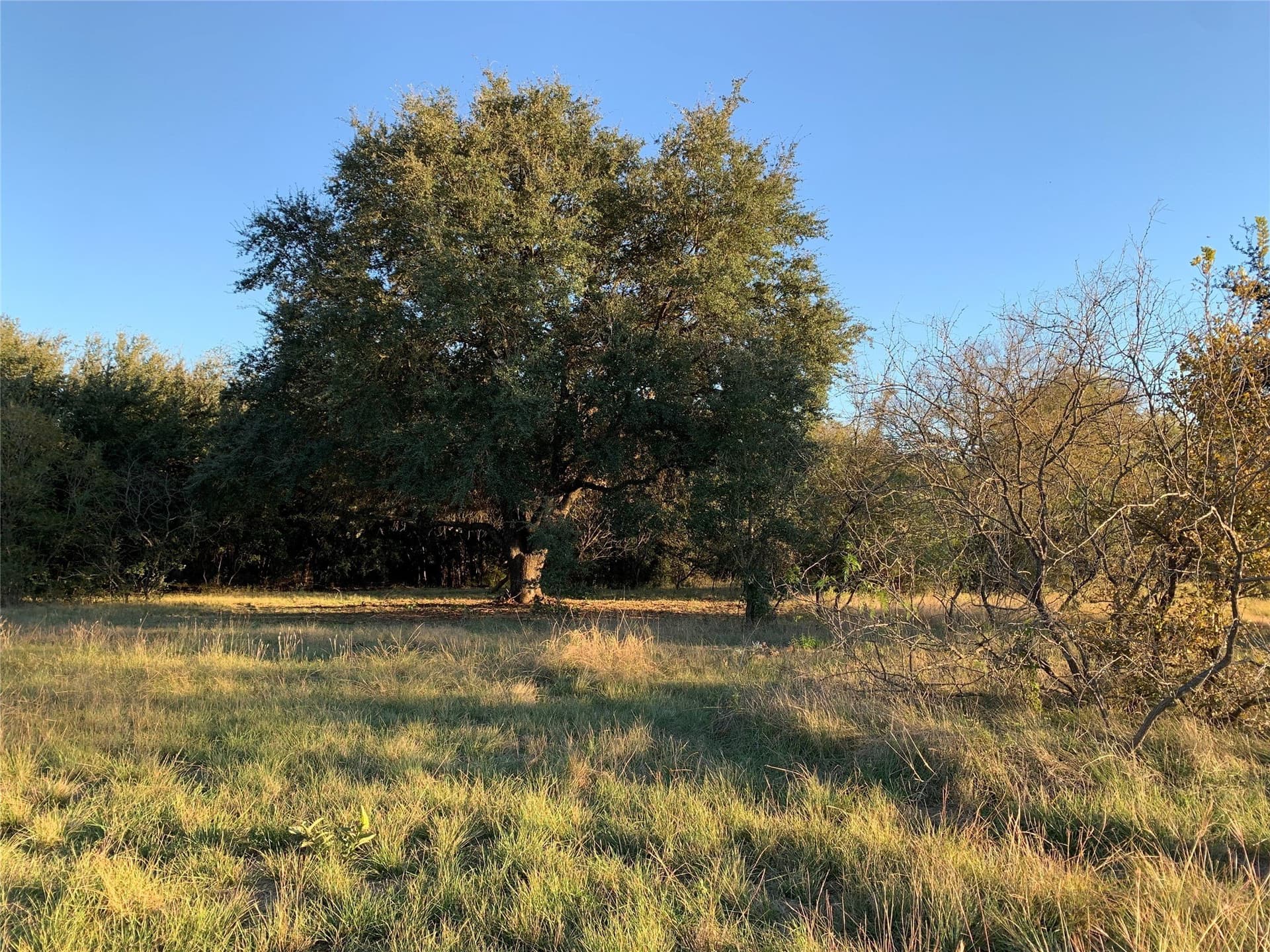10.26 acres in Hill County - photo 10