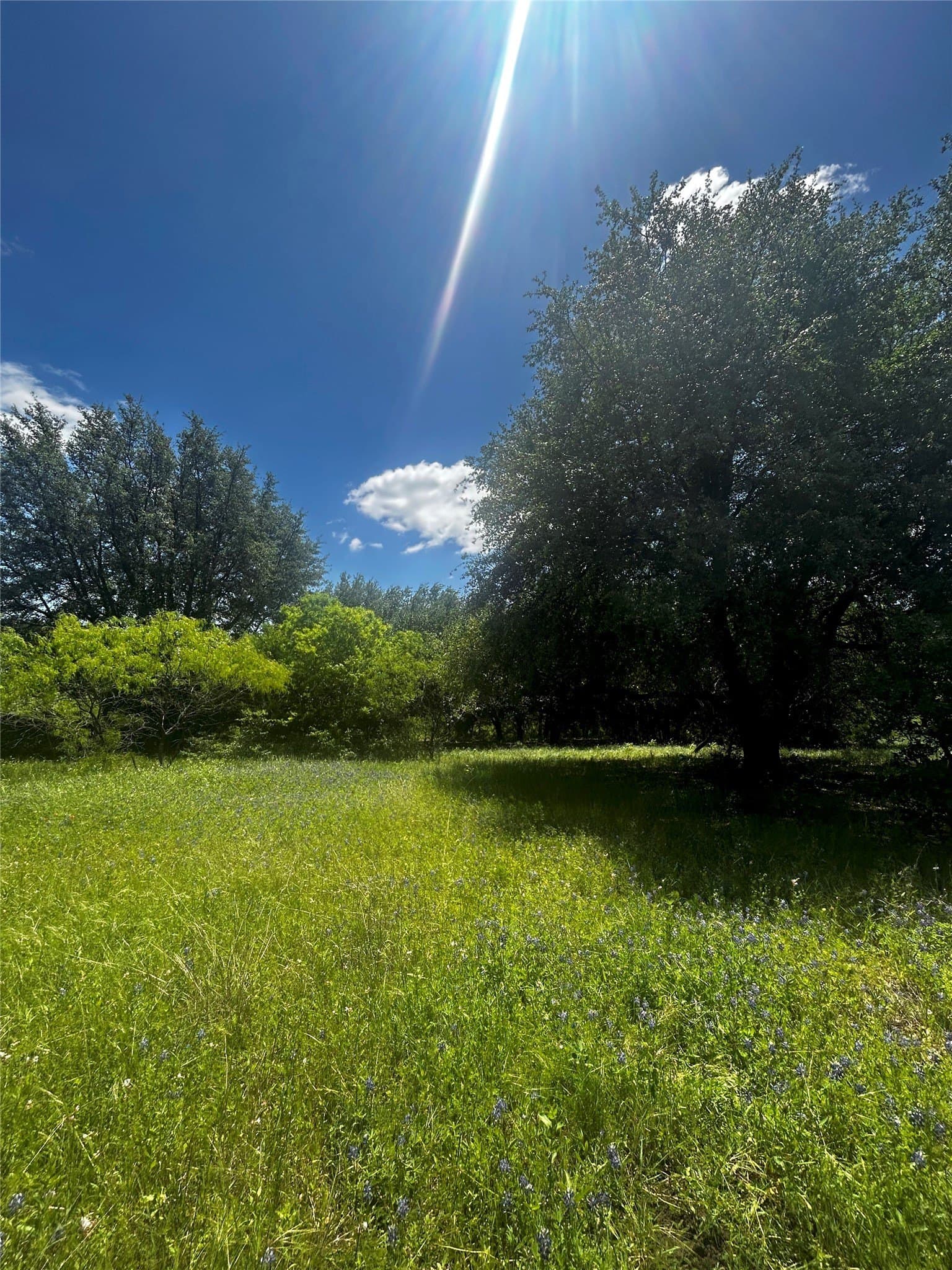 10.26 acres in Hill County - photo 6