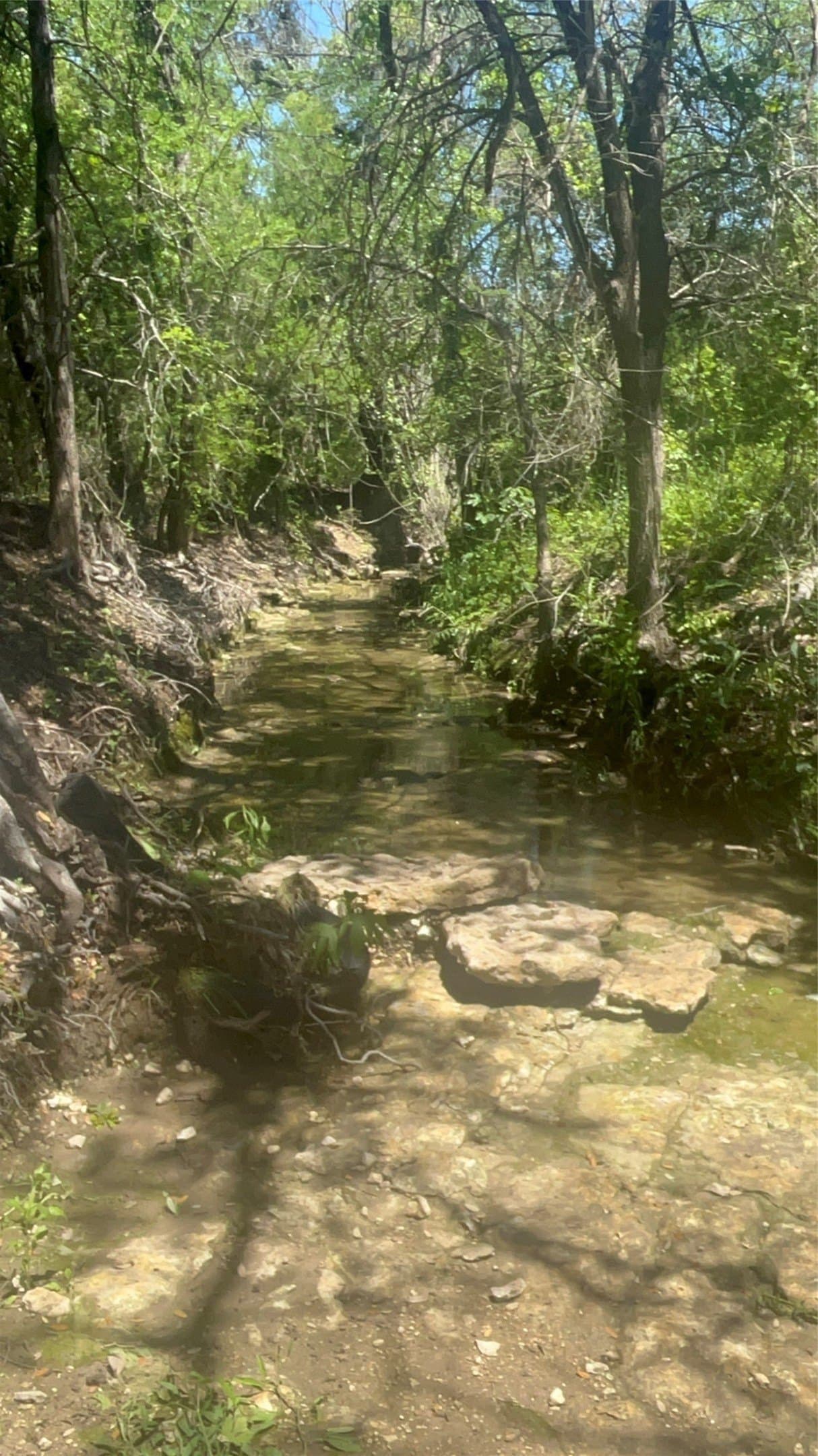 10.26 acres in Hill County - photo 13