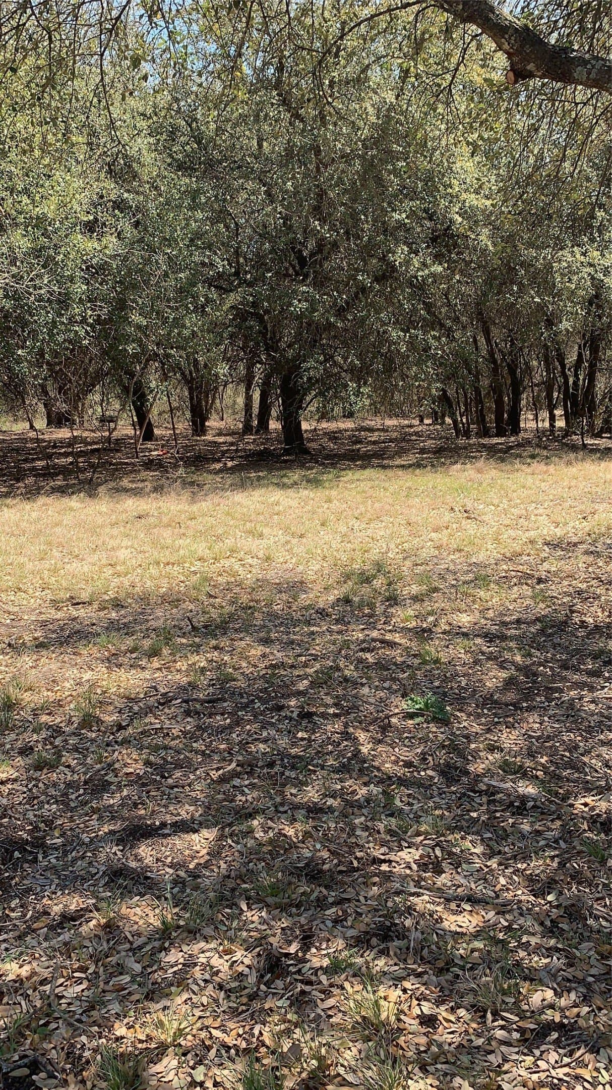 10.26 acres in Hill County - photo 16
