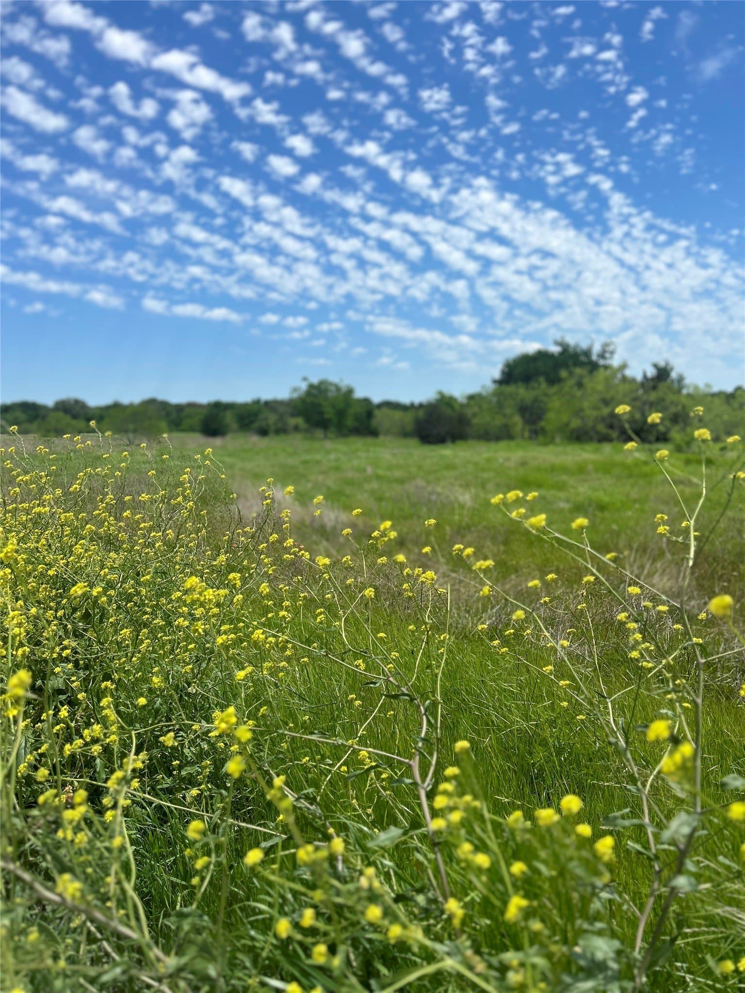 10.26 acres in Hill County - photo 7