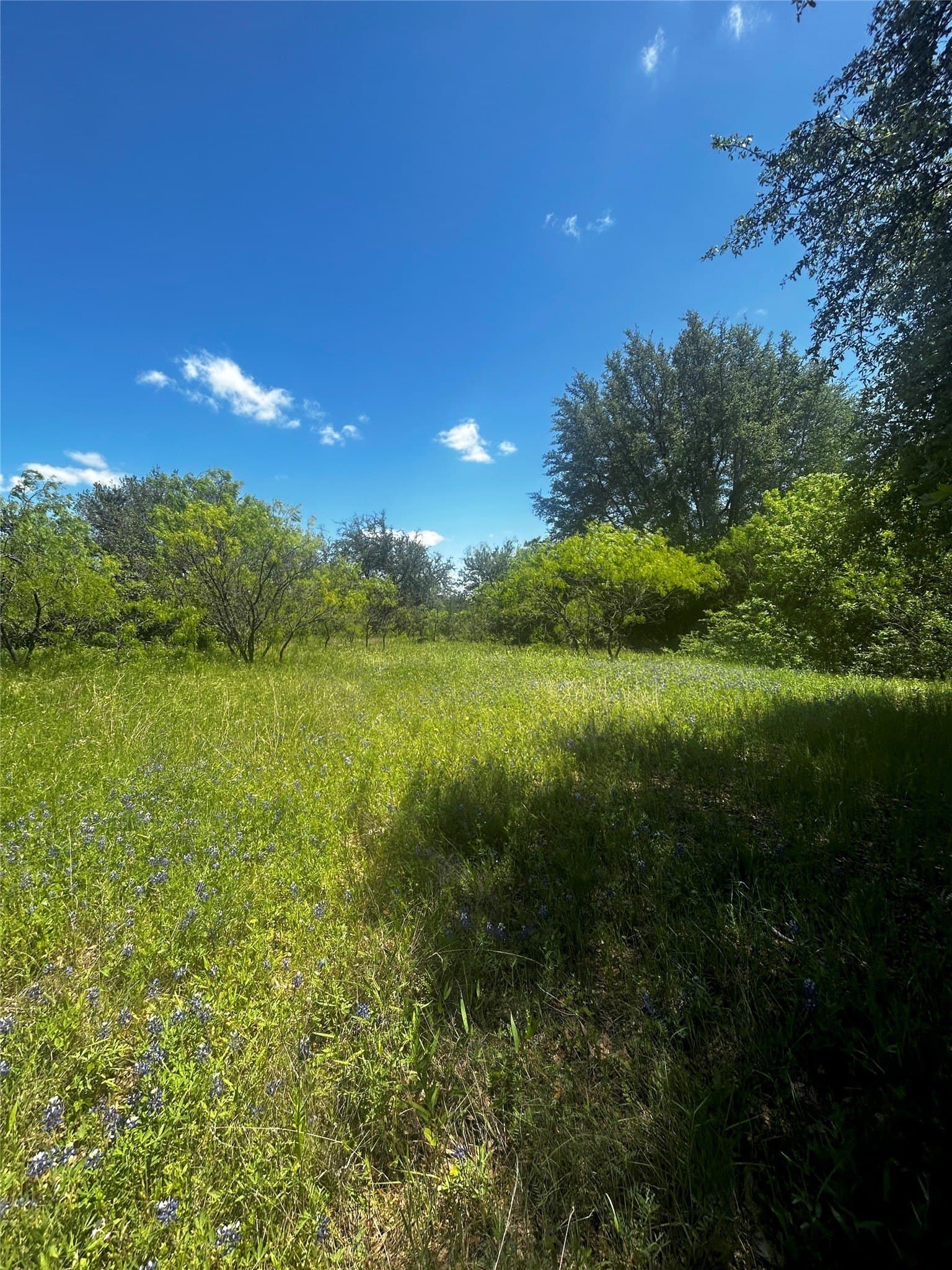 10.26 acres in Hill County - photo 9