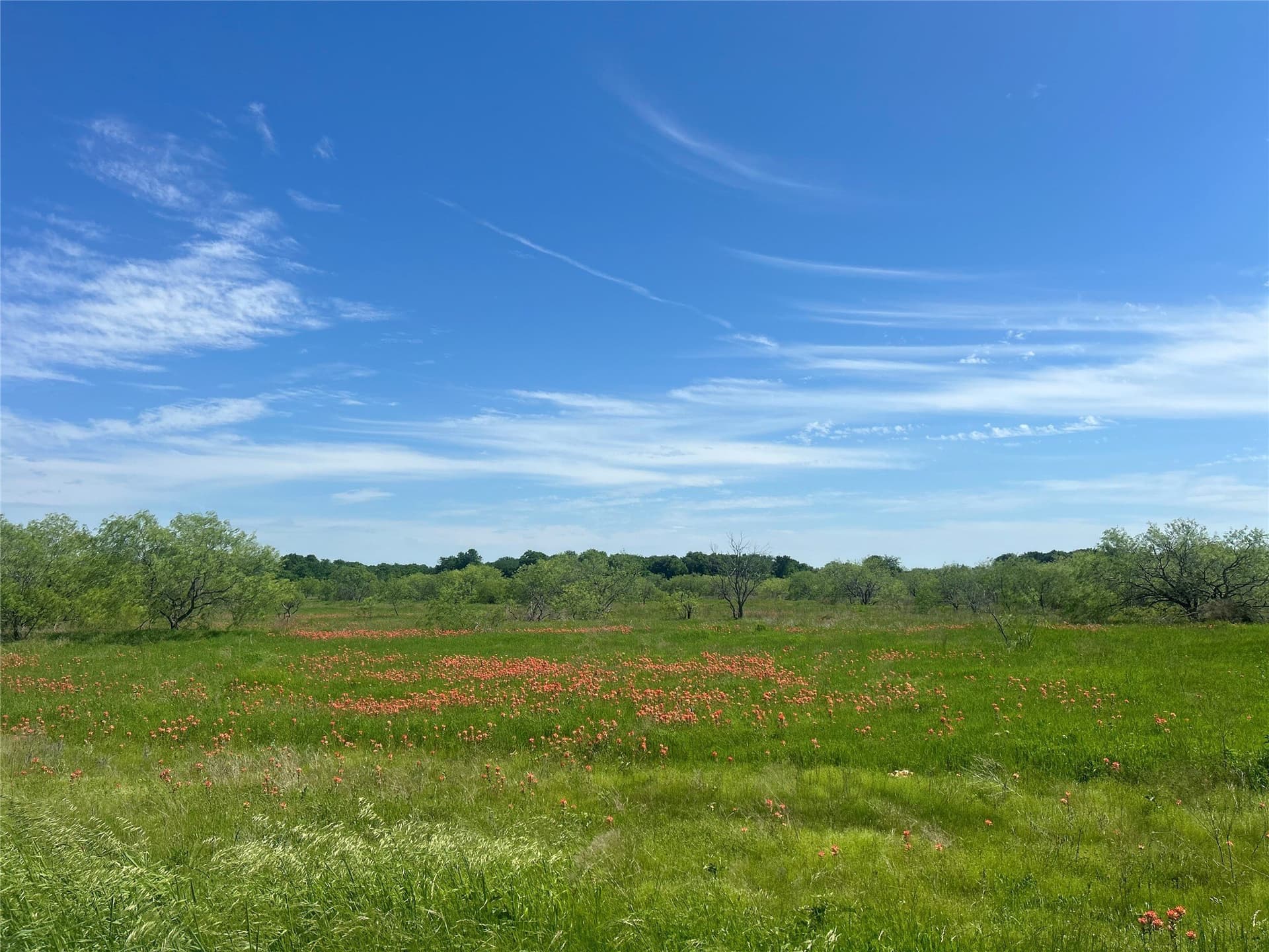 10.26 acres in Hill County gallery image 2
