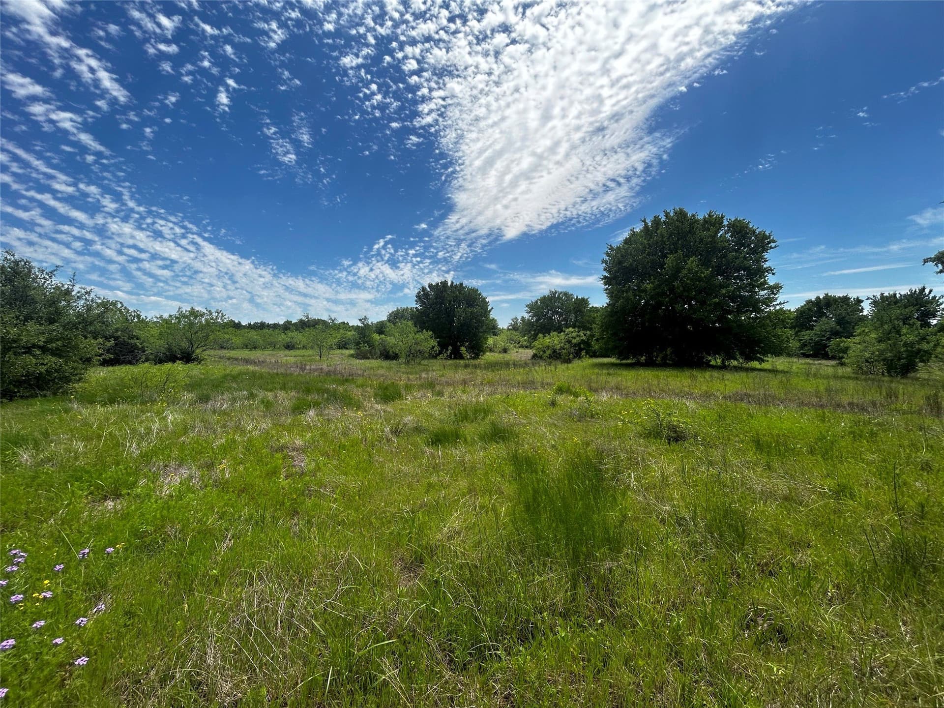 10.26 acres in Hill County - photo 8