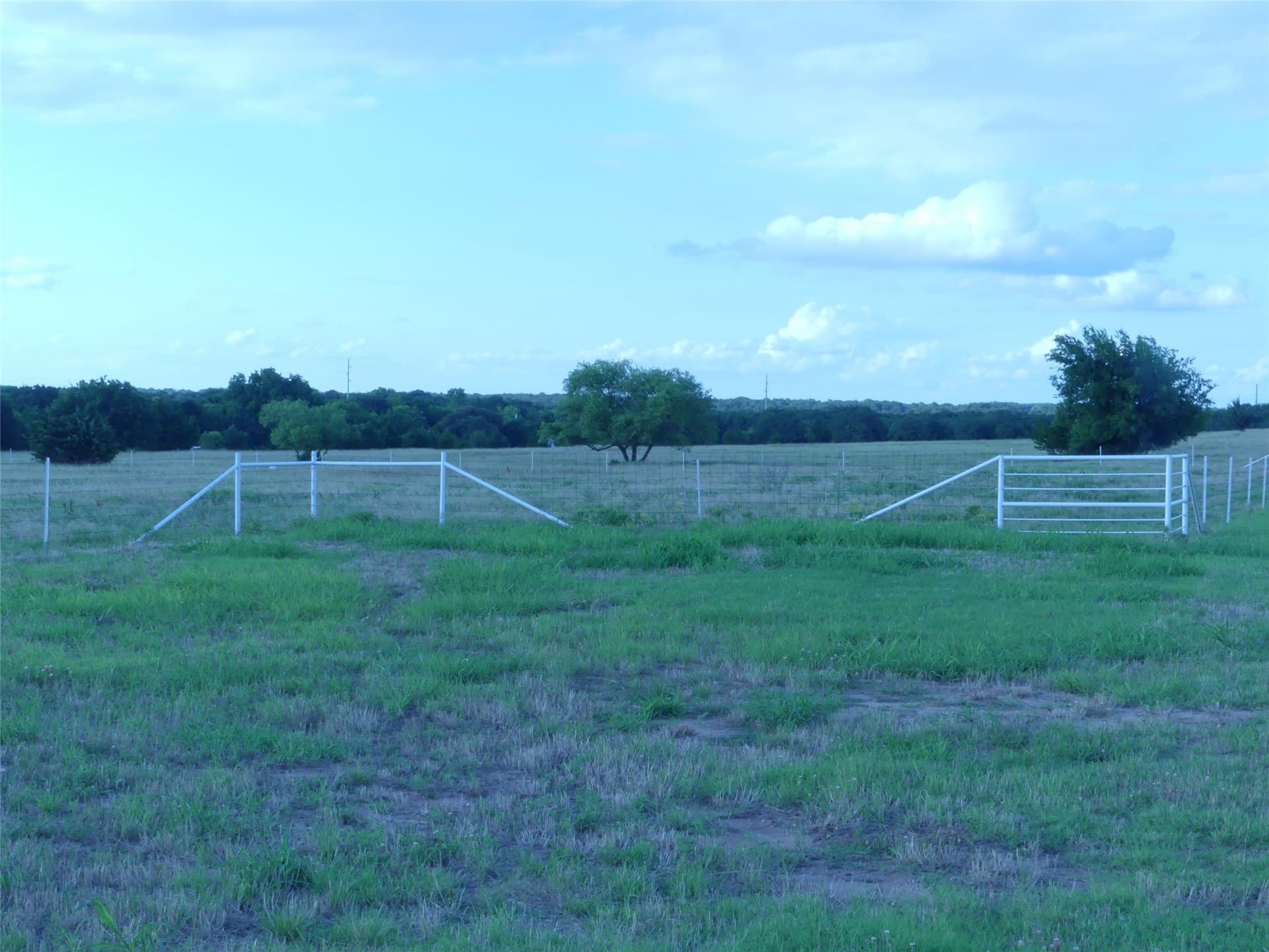 82.84 acres in Montague County - photo 10