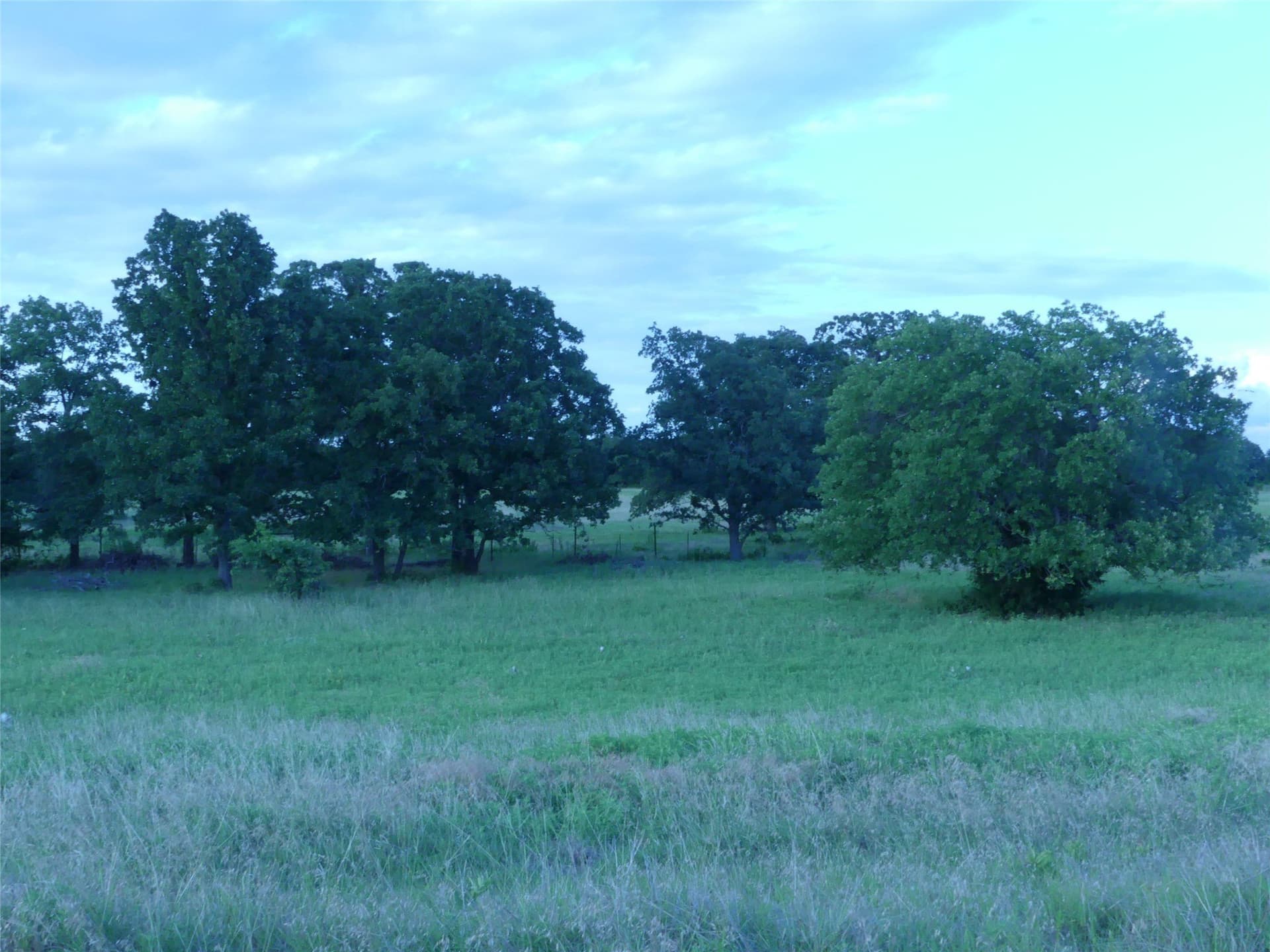 82.84 acres in Montague County - photo 38