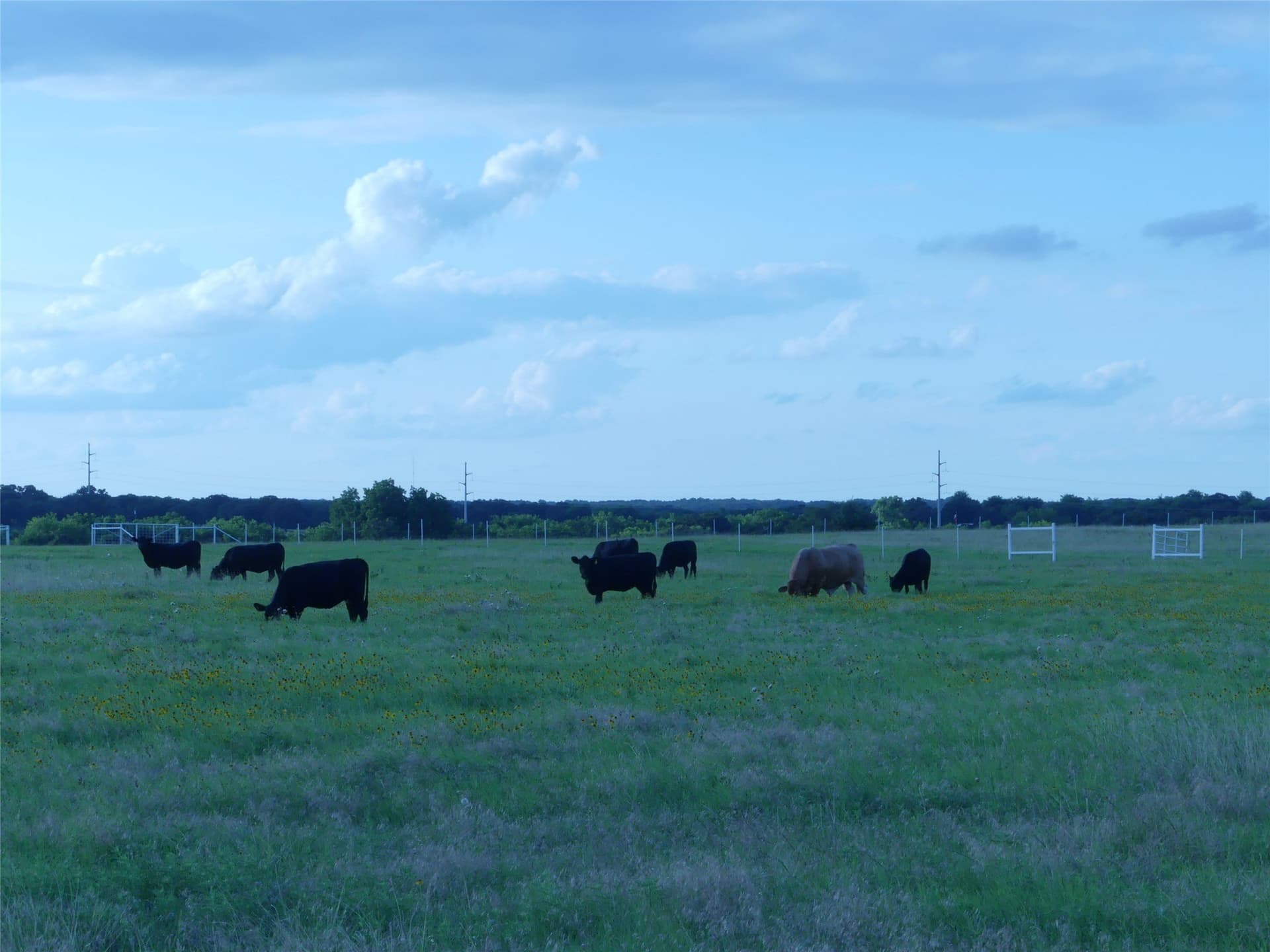 82.84 acres in Montague County - photo 35