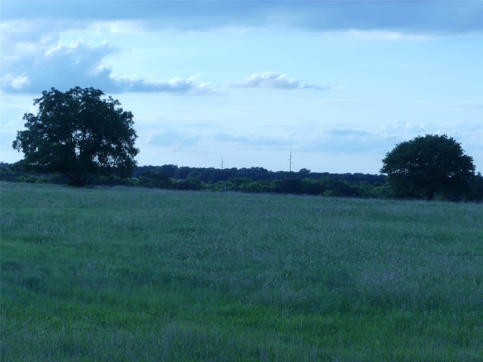 82.84 acres in Montague County - photo 36
