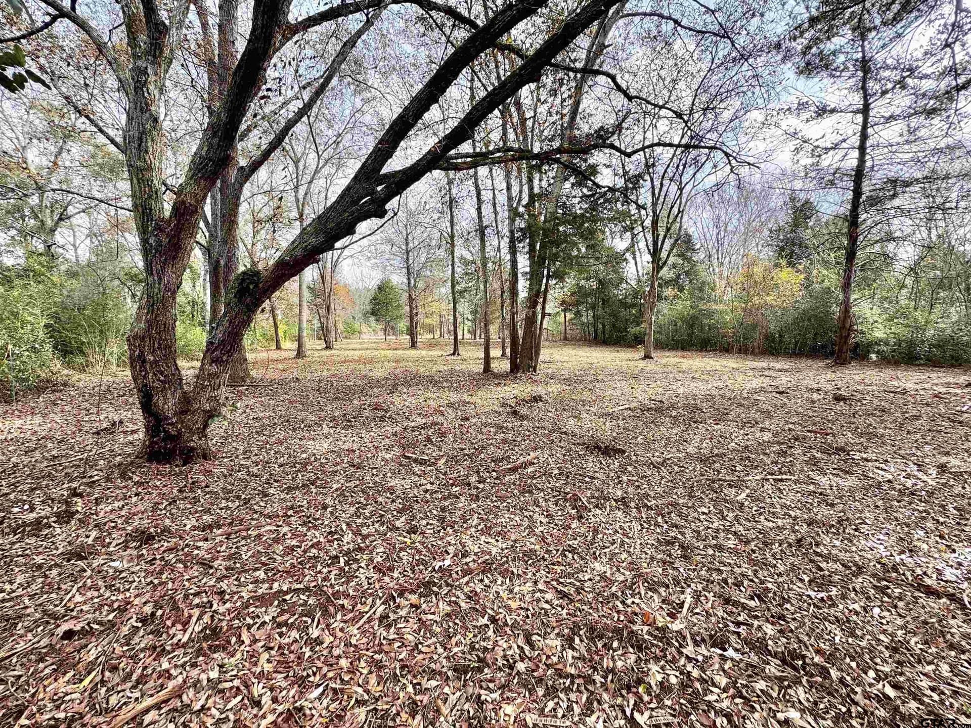 0.57 acres in Cherokee County gallery image 2
