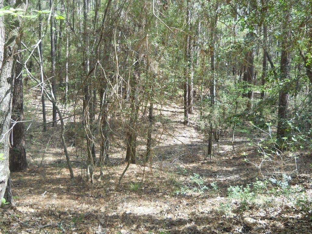 15.73 acres in Texas County - photo 8