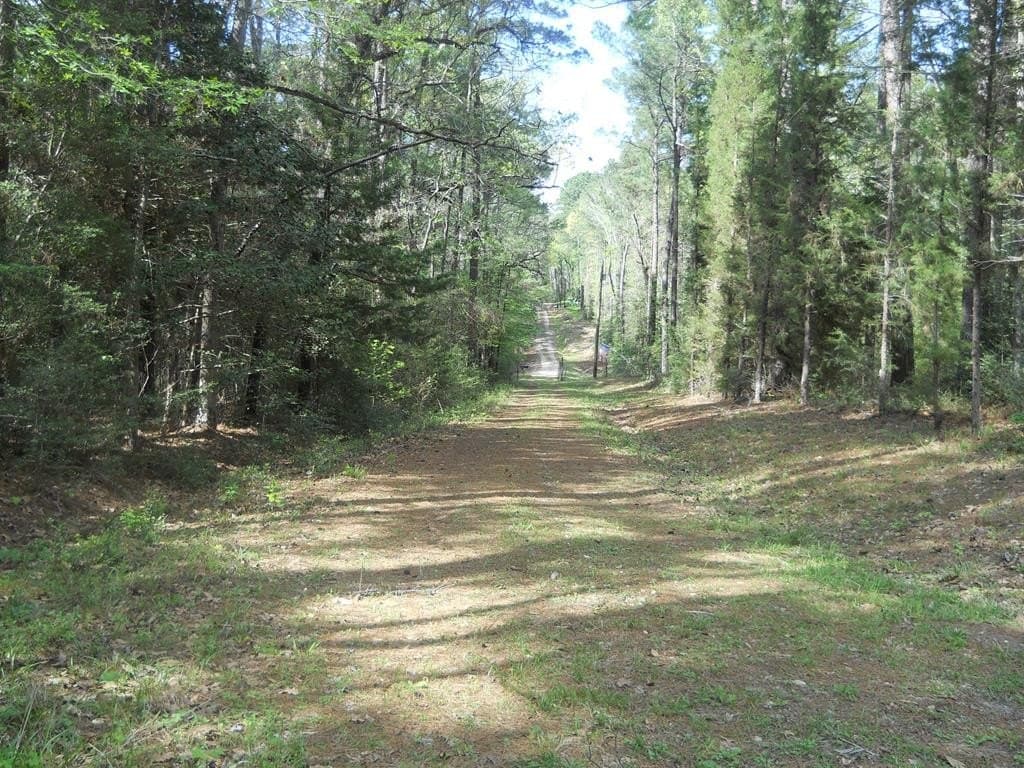 15.73 acres in Texas County - photo 14