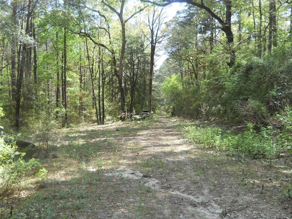 15.73 acres in Texas County - photo 36