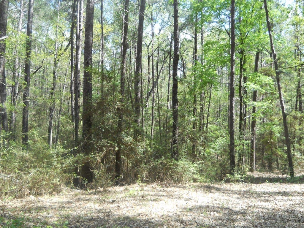 15.73 acres in Texas County - photo 9