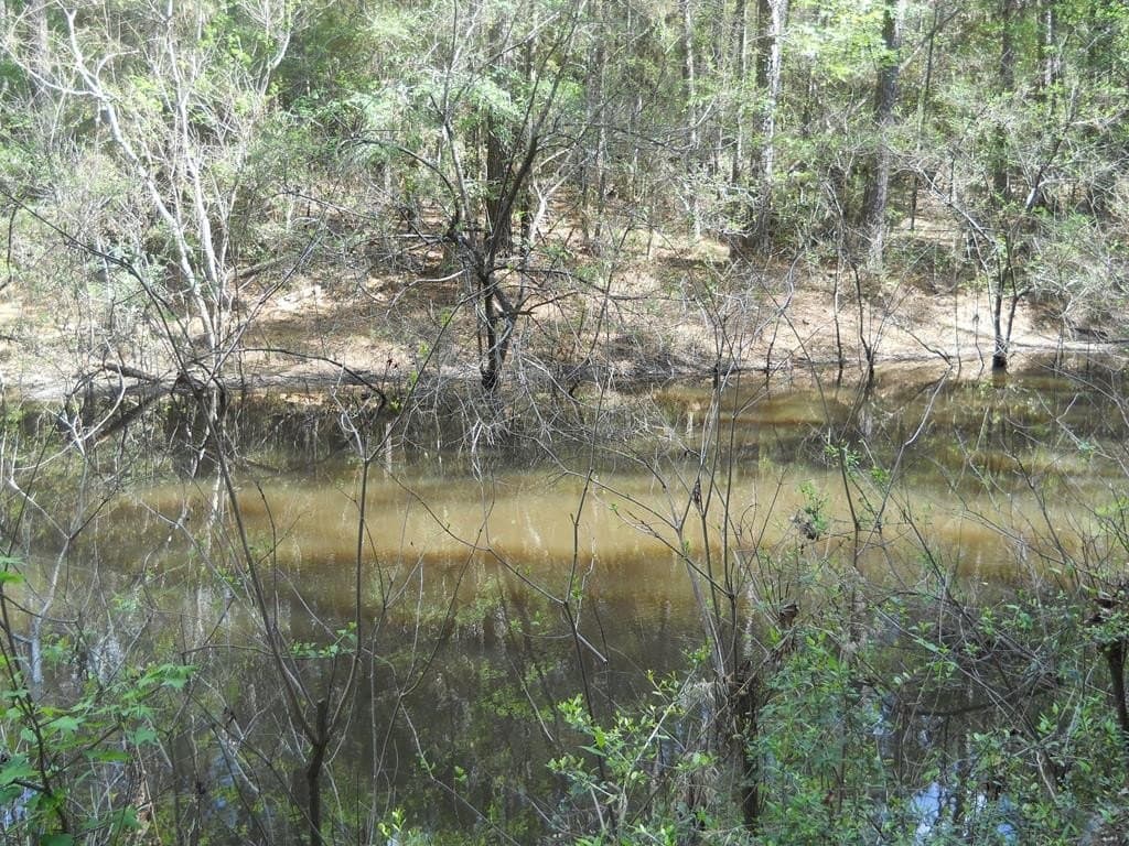15.73 acres in Texas County gallery image 4
