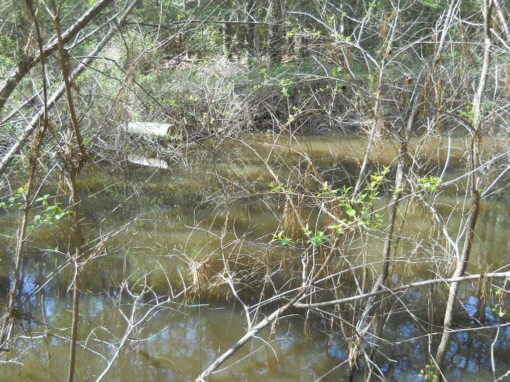 15.73 acres in Texas County featured view